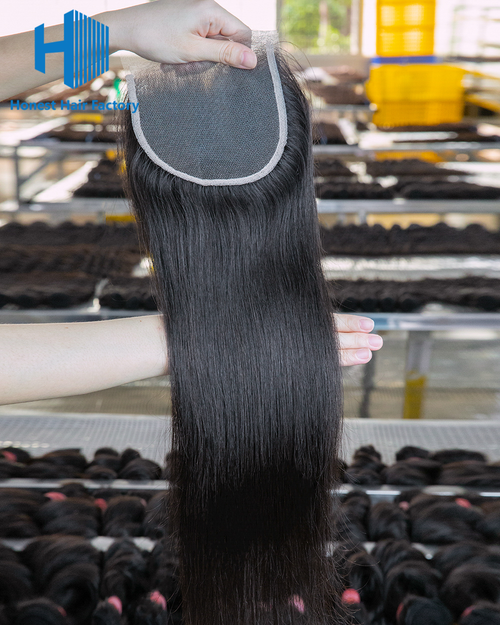 Wholesale R1 12-20Inch Straight Pre-plucked 5*5 HD Lace Closure
