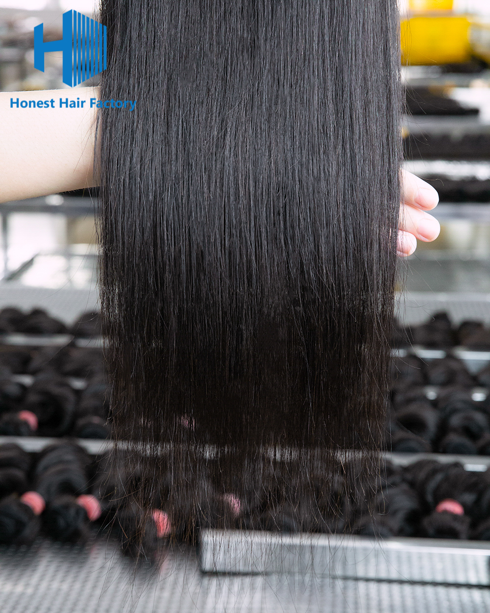 Wholesale R1 12-20Inch Straight Pre-plucked 5*5 HD Lace Closure
