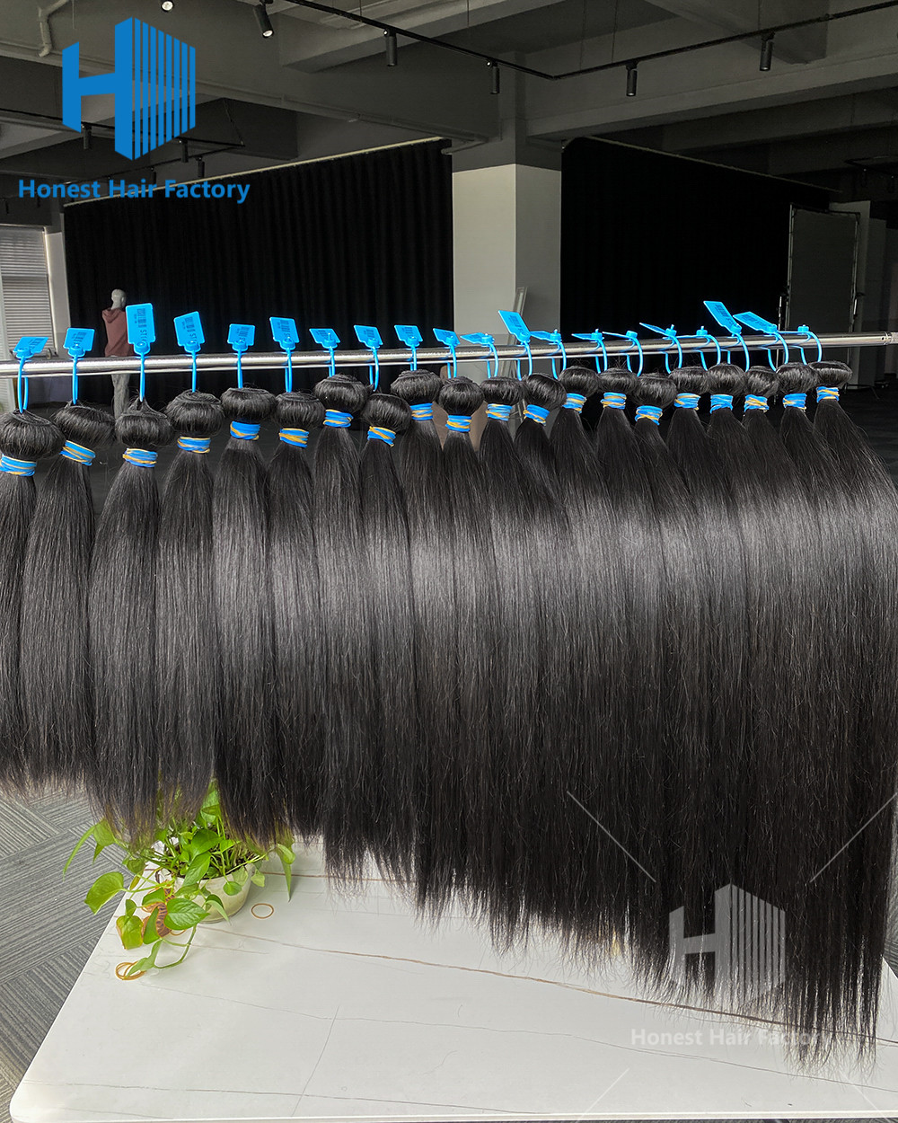 Wholesale 10 Bundles Blue Band Raw Hair 12"-30" Straight