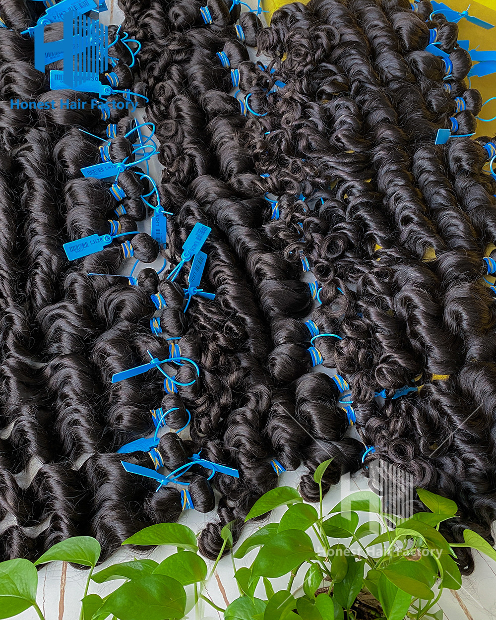 Wholesale 30 Bundles Blue Band Raw Hair 12"-30" Loose Wave