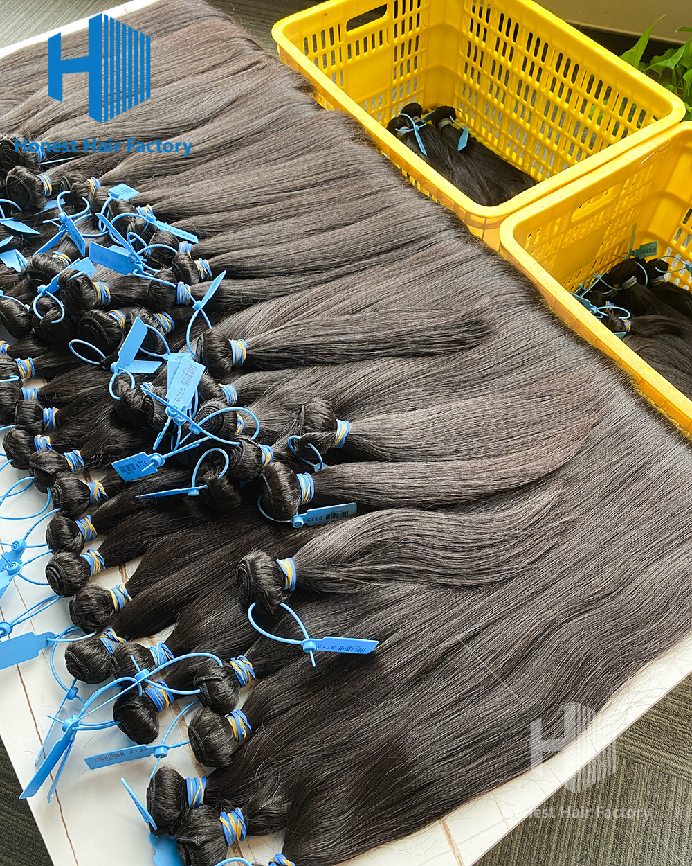 Wholesale 50 Bundles Blue Band Raw Hair 12"-30" Straight