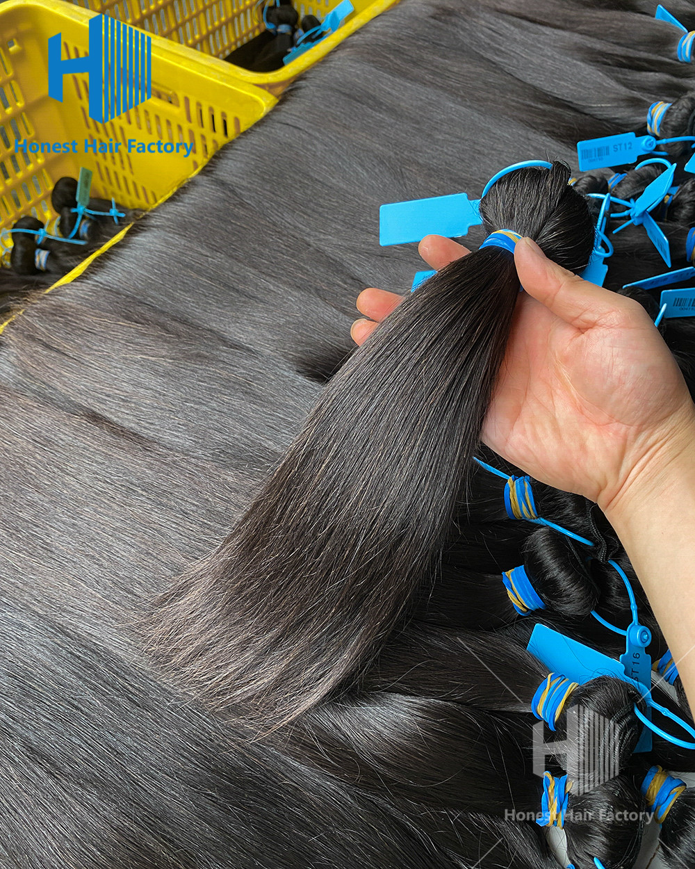 Wholesale 50 Bundles Blue Band Raw Hair 12"-30" Straight