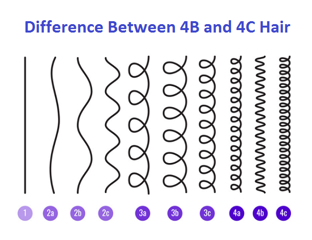 4B vs 4C Hair.png