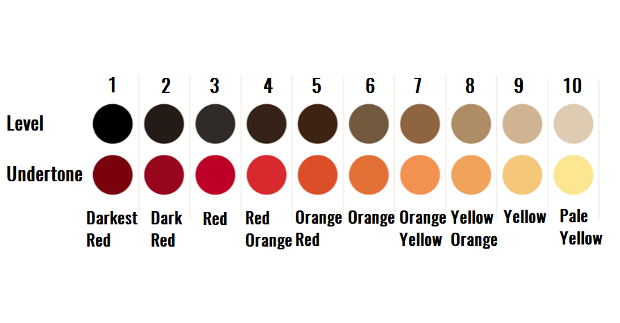 Hair Level and Tone Chart.png
