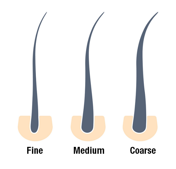 hair thickness chart.png