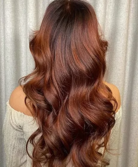 Copper Brown summer hair color.png